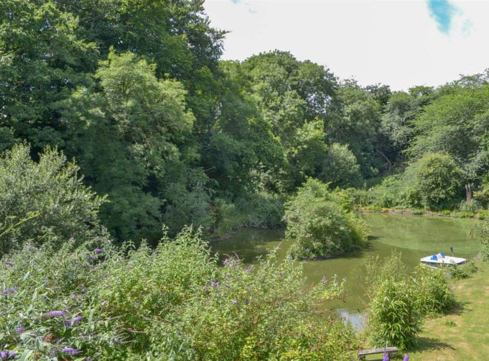 The lake is available for carp fishing at Tulip Lodge in Tideford Cross, near Saltash, Cornwall