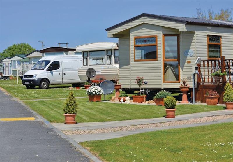 The park setting (photo number 2) at Turnberry Holiday Park in Ayrshire, South-West Scotland