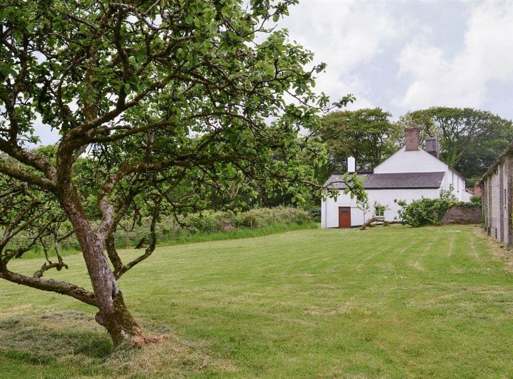 Peaceful rural holiday cottage at Tutchenor Farm in Patchacott, near Beaworthy, Devon