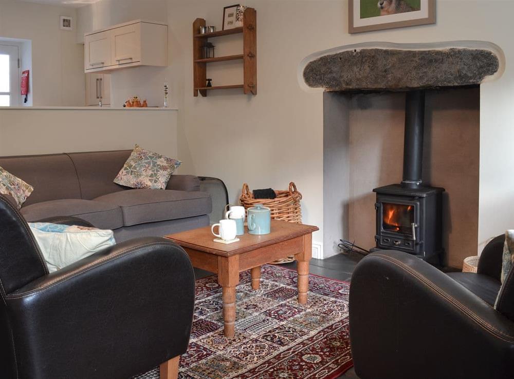 Cosy living room with multi-fuel burner at Twelve And A Half in Low Wood, near Ulverston, Cumbria