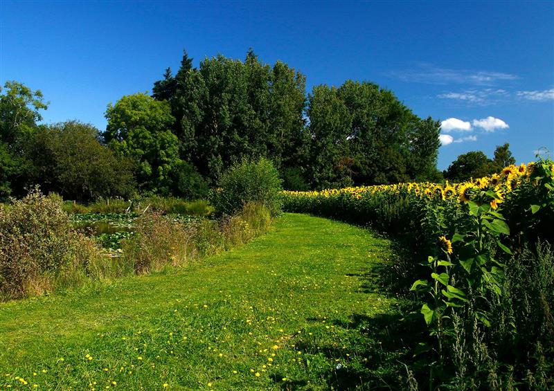 Rural landscape (photo 3) at Twelve Oaks Farmhouse, Teigngrace near Newton Abbot