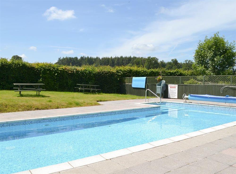 Enclosed open air swimming pool area at Acorn Cottage, 