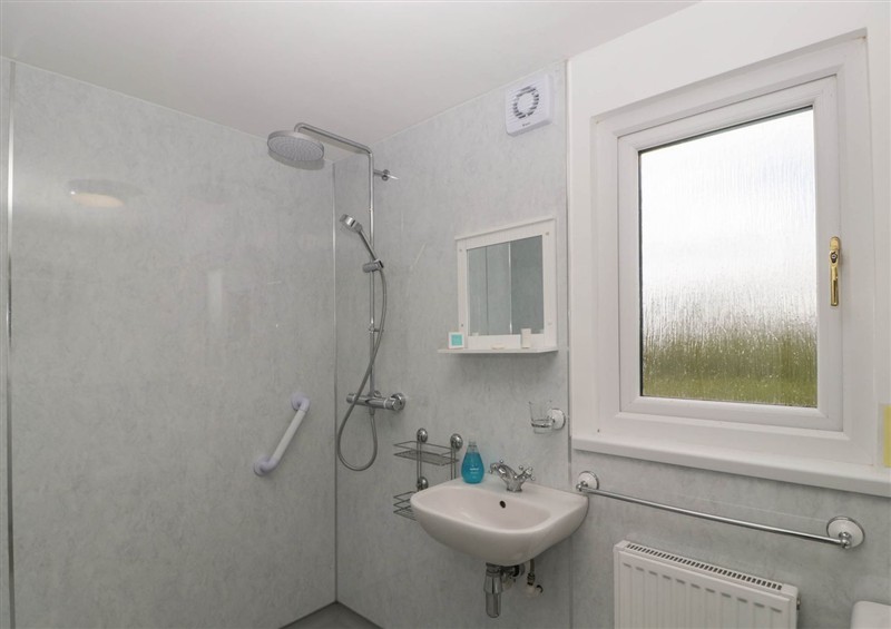 Bathroom at Twilight, Raglan