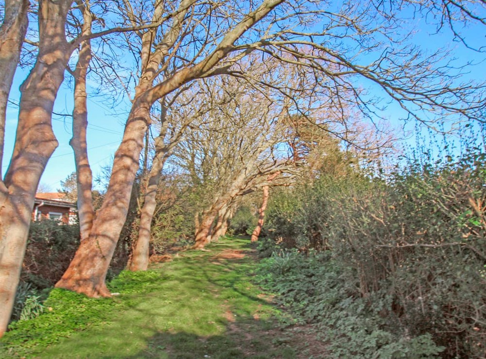 Surrounding area (photo 3) at Two Hoots in Mundesley, Norfolk