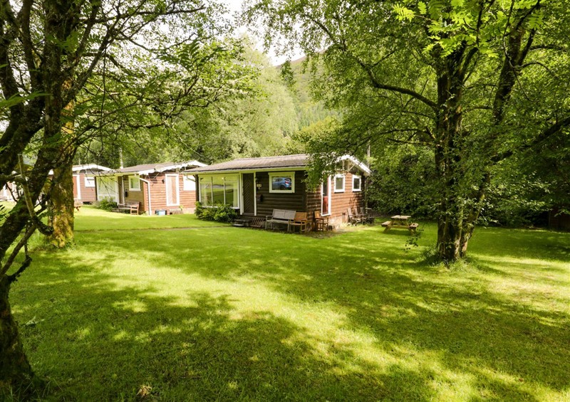 Enjoy the garden (photo 2) at Ty Bedwen, Dinas Mawddwy