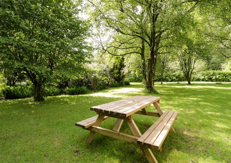 Enjoy the garden at Ty Bedwen, Dinas Mawddwy