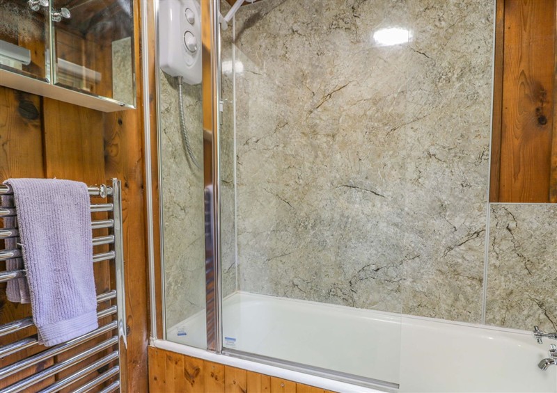 This is the bathroom at Ty Bedwen, Dinas Mawddwy