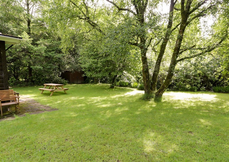 This is the garden (photo 3) at Ty Bedwen, Dinas Mawddwy