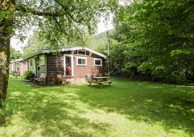 This is the garden at Ty Bedwen, Dinas Mawddwy