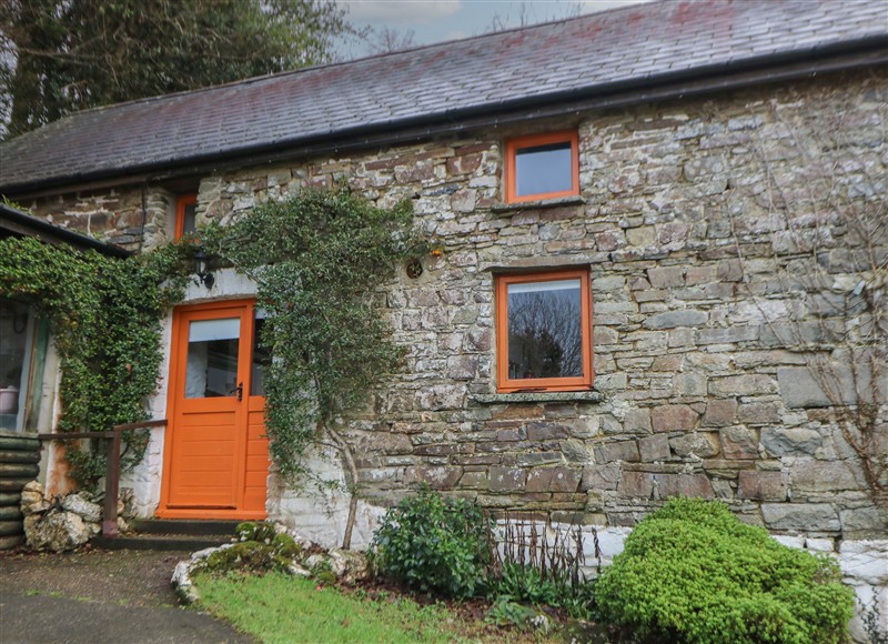 Outside at Ty Ceffylau, Llanllwni near Llanybydder