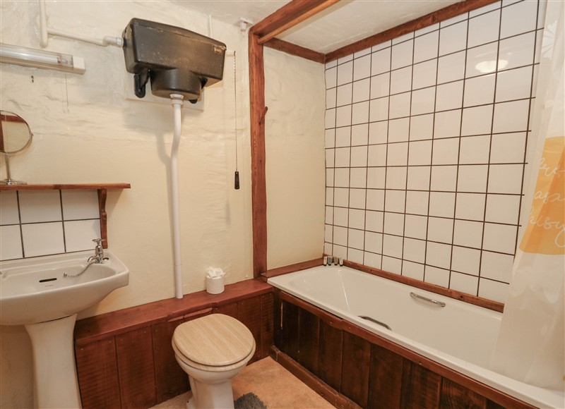 The bathroom at Ty Ceffylau, Llanllwni near Llanybydder