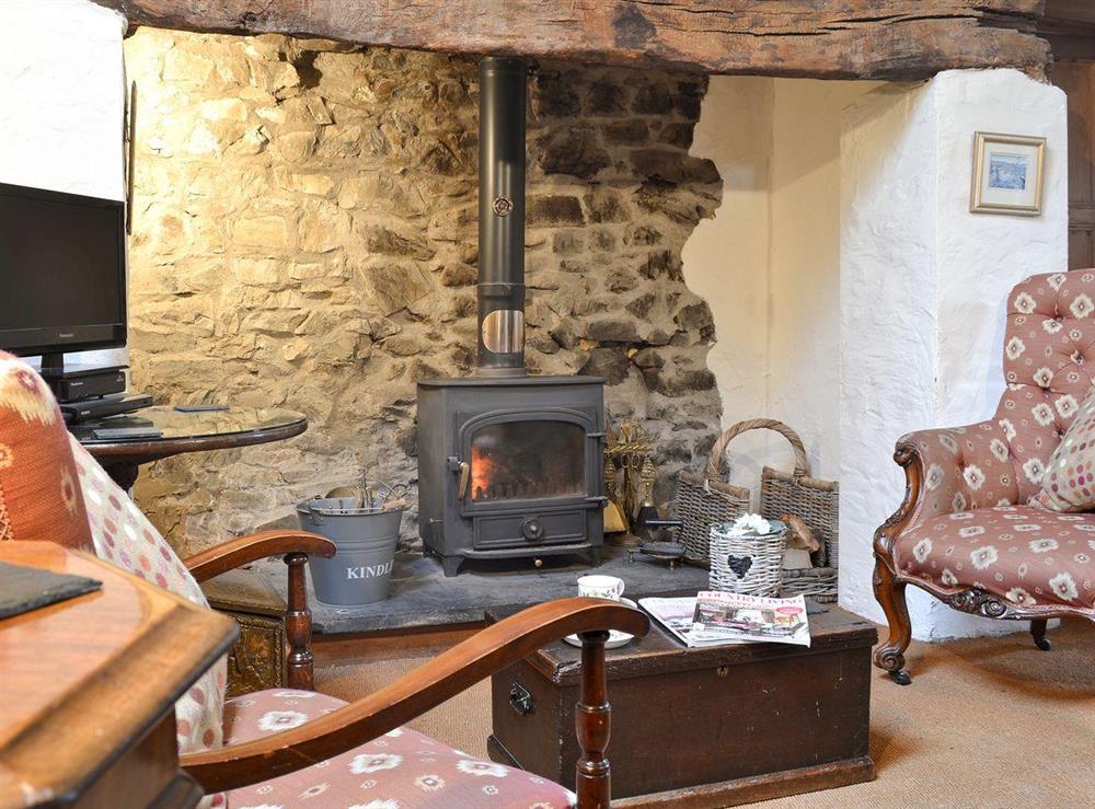 Cosy living room with wood burning stove (photo 2) at Ty Christian in Caerwedros, Nr New Quay, Ceredigion., Dyfed