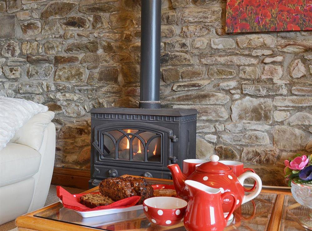 Cosy gas woodburner in the living room at Ty Coch Cottage in Near Aberaeron, Dyfed