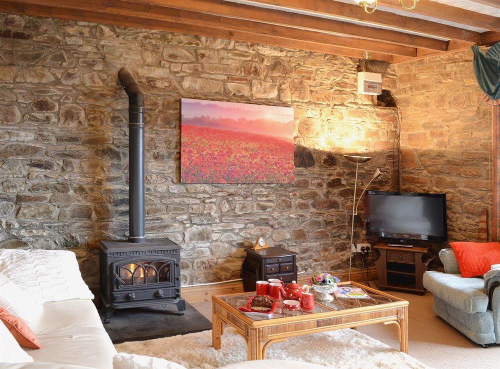 Living room with exposed stone walls at Ty Coch Cottage in Near Aberaeron, Dyfed