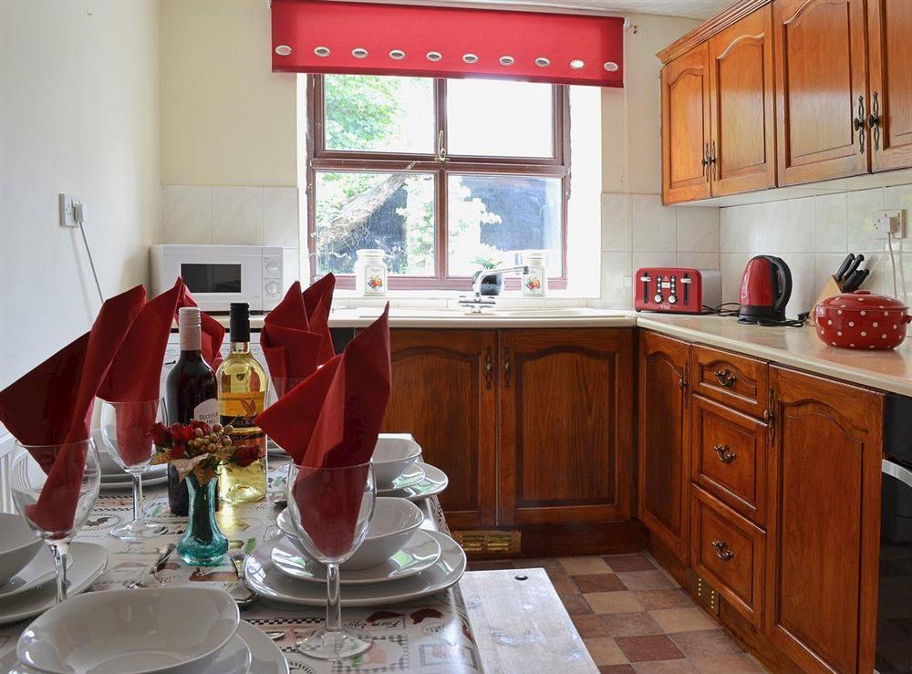 The lovely dining/kitchen at Ty Coch Cottage in Near Aberaeron, Dyfed