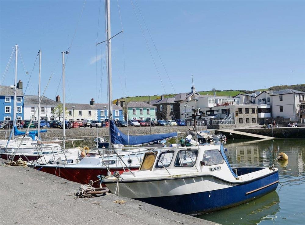 Aberaeron Harbour (photo 2) at Ty Ffynnon in Aberystwyth, Dyfed