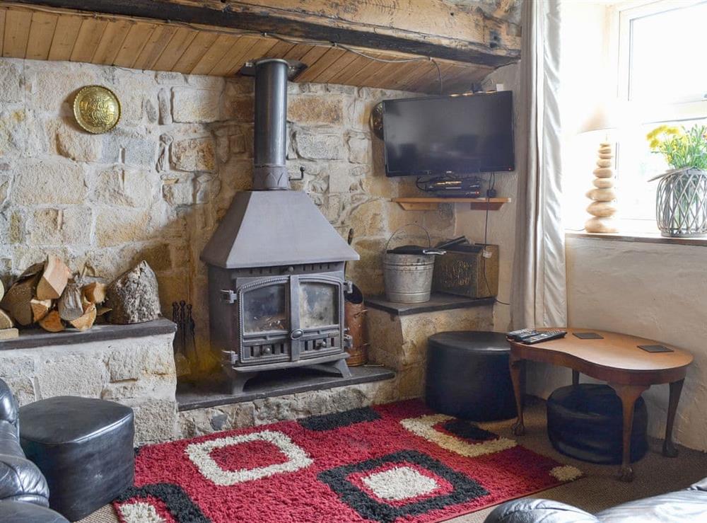 Welcoming living space with wood burner at Ty Hen in Rhiw, near Pwllheli, Gwynedd