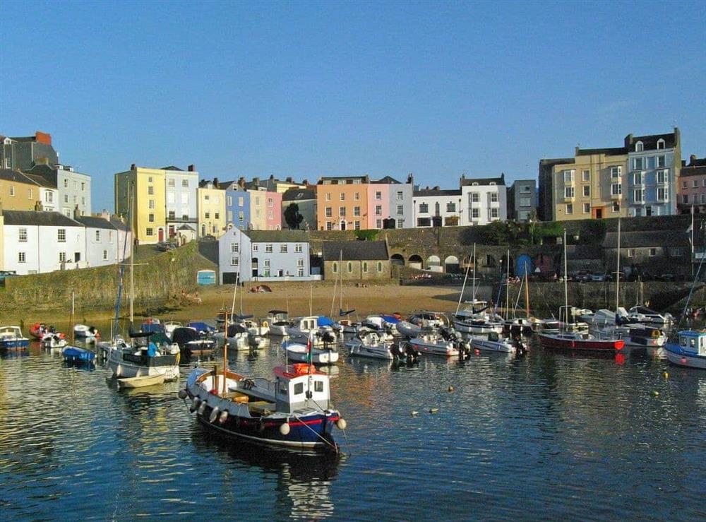 Photo of Ty Mair (photo 13) at Ty Mair in Tenby, Pembrokeshire, Dyfed