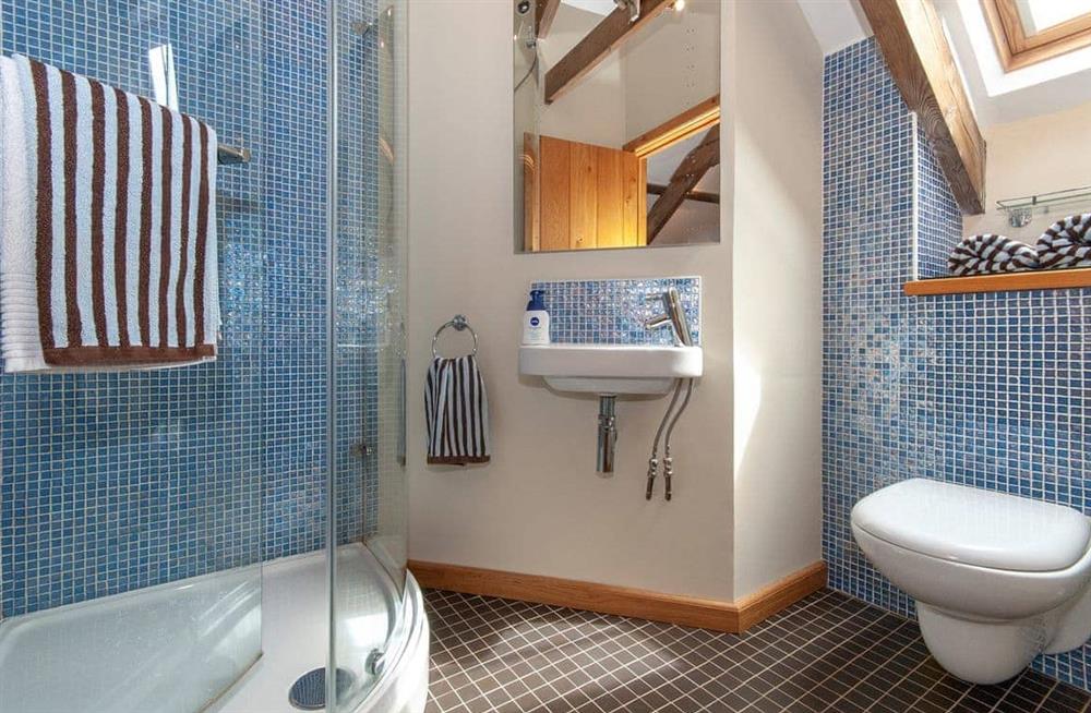 This is the bathroom at Ty Menyn in Haverfordwest, Pembrokeshire, Dyfed