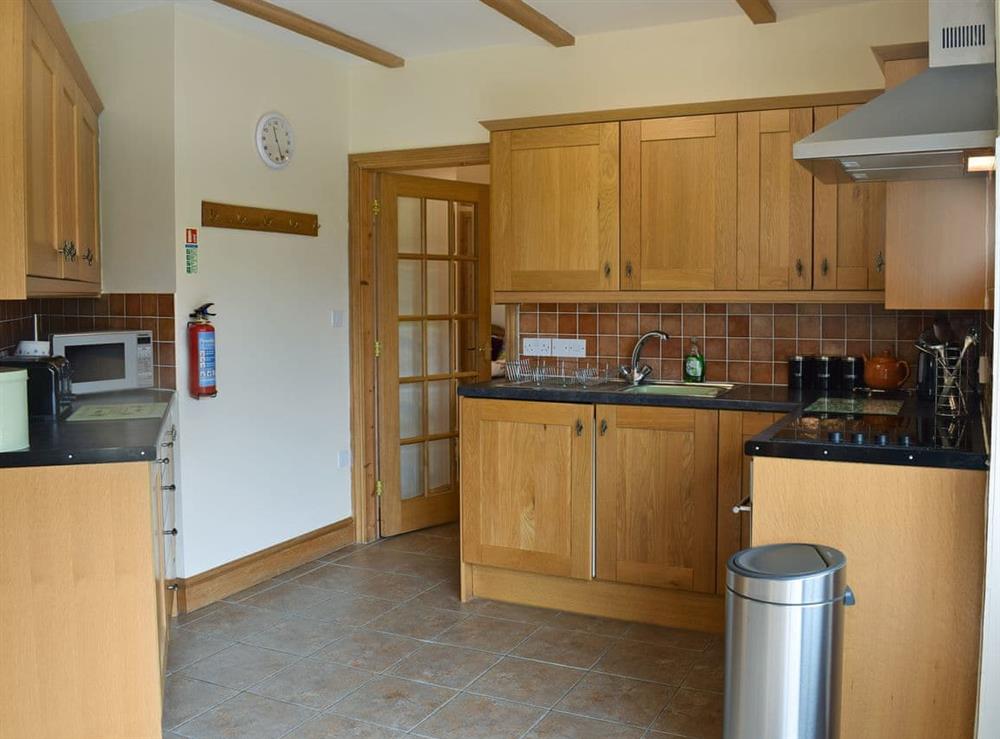 Well equipped kitchen area at Ty Nant in Llanon, near Aberaeron, Cardigan/Ceredigion, Dyfed