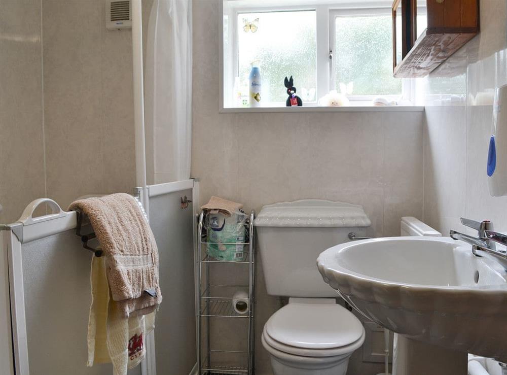 Shower room at Ty Newydd Green Cottage in Llanfachraeth, near Holyhead, Anglesey, Gwynedd