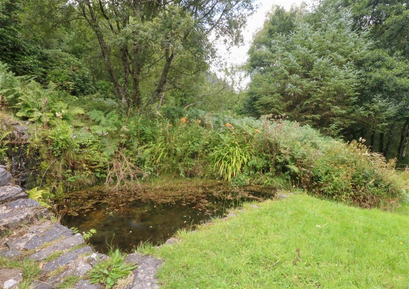 The garden in Ty Newydd (photo 2) at Ty Newydd, Llanrhychwyn near Llanrwst