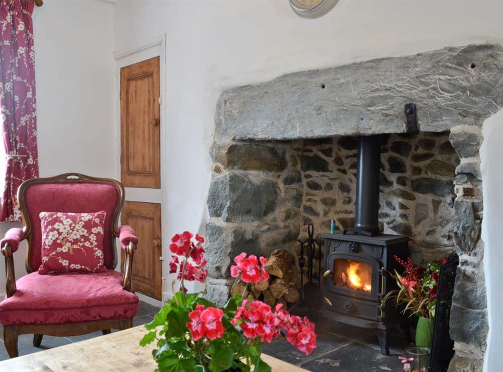 Living room wood burner at Ty Newydd in Llwyngwril, near Aberdovey, Gwynedd