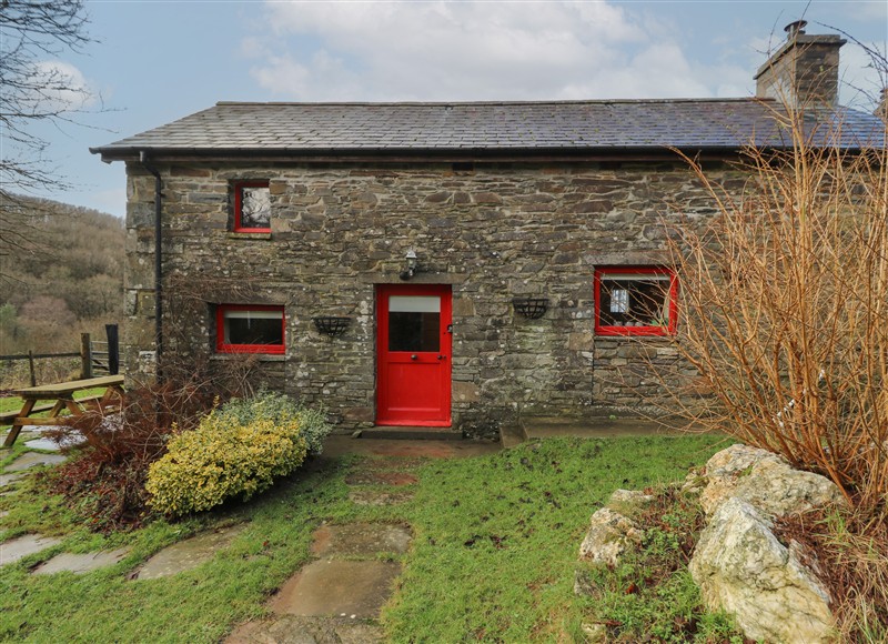 Outside at Ty Tarw, Llanybydder
