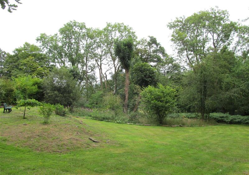 The area around Ty Twt at Ty Twt, Llanfair Clydogau near Llandewi-Brefi