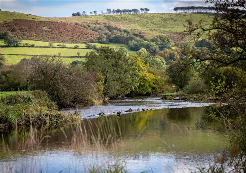 The area around Ty Twt Teifi at Ty Twt Teifi, Llanddewi-Brefi
