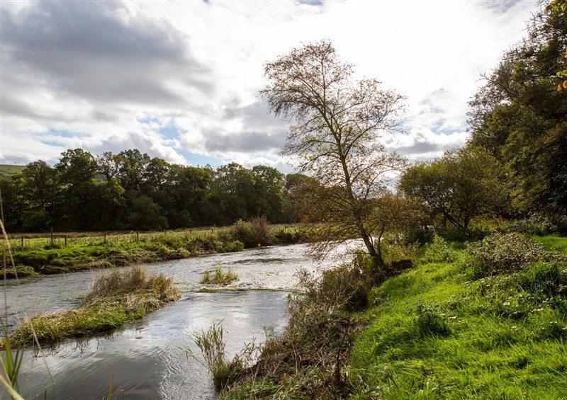 The setting around Ty Twt Teifi at Ty Twt Teifi, Llanddewi-Brefi