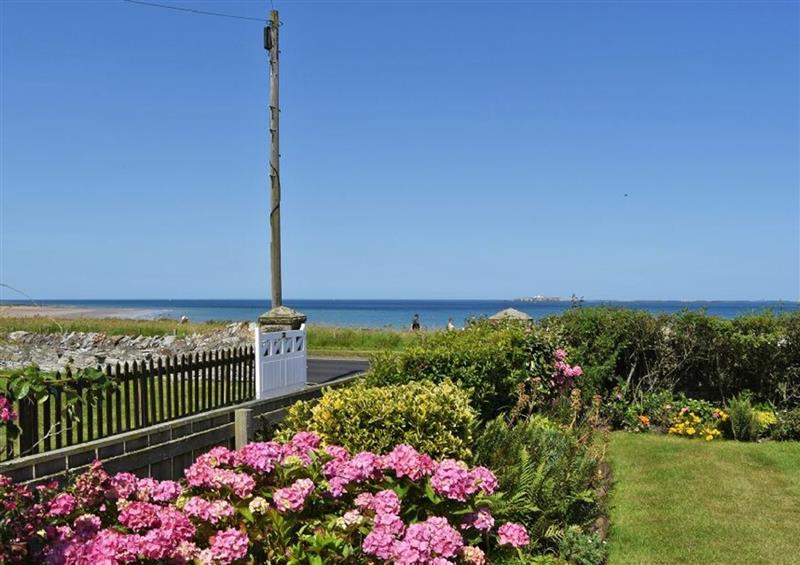 The garden in Ty y Mor at Ty y Mor, Seahouses