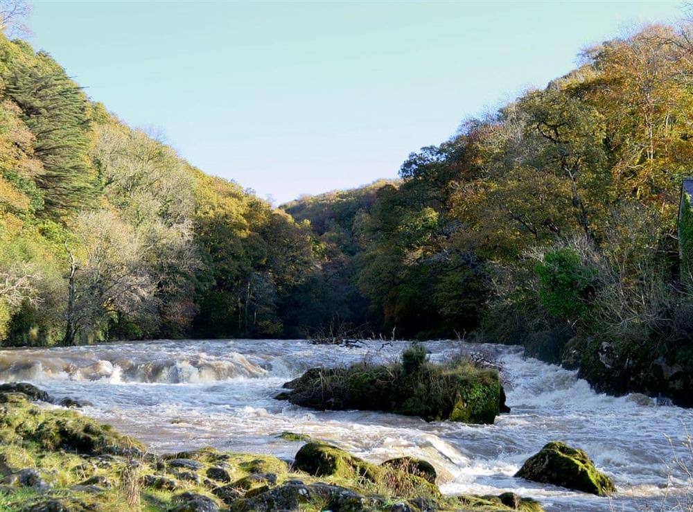 Cenarth Falls