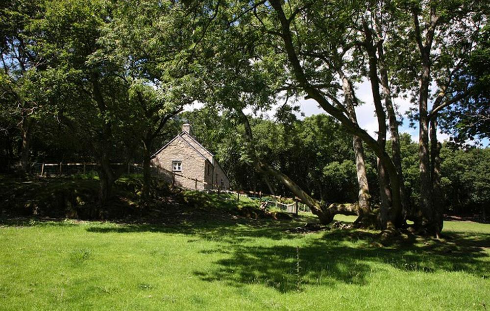Tyddyn Derwen, nestled in woodland and overlooking a field (photo 3) at Tyddyn Derwen, Bodnant Estate
