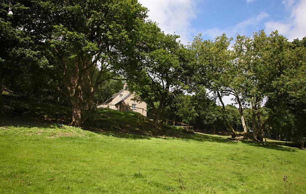 Tyddyn Derwen, nestled in woodland and overlooking a field (photo 4) at Tyddyn Derwen, Bodnant Estate