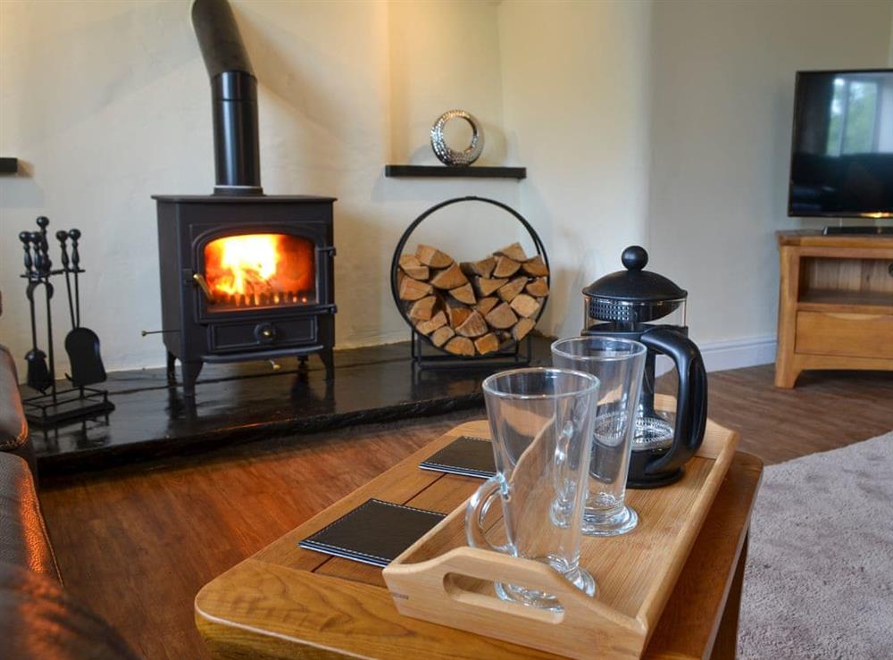 Spacious living area with a wood burner (photo 2) at Tyddyn Eli in Llangwm, near Corwen, Clwyd