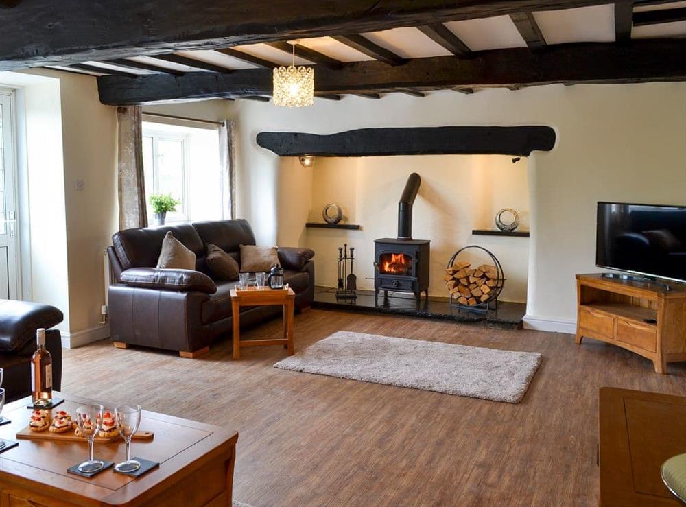 Spacious living area with a wood burner at Tyddyn Eli in Llangwm, near Corwen, Clwyd