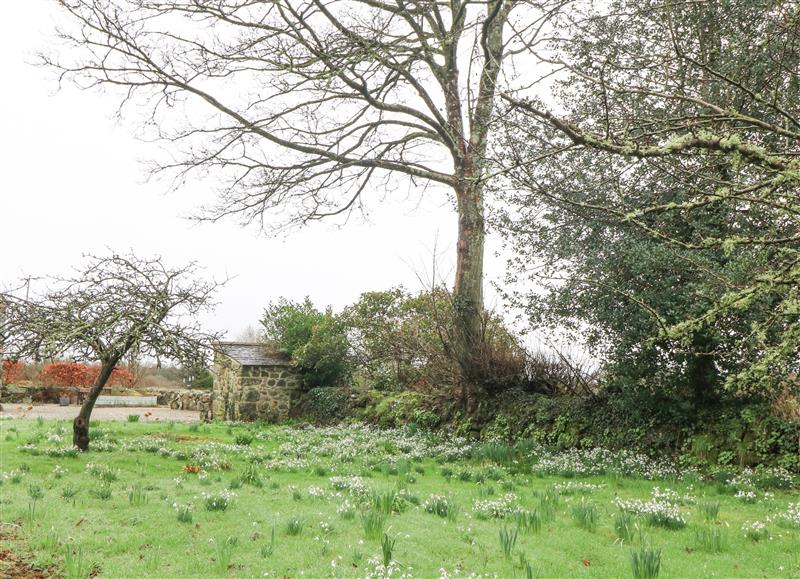 The area around Tyddyn Felin Barn at Tyddyn Felin Barn, Criccieth