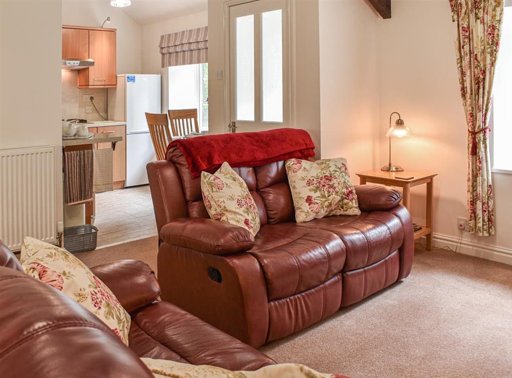 Living room (photo 4) at Tyddyn Sydney Bach in Treborth, near Caernarfon, Gwynedd