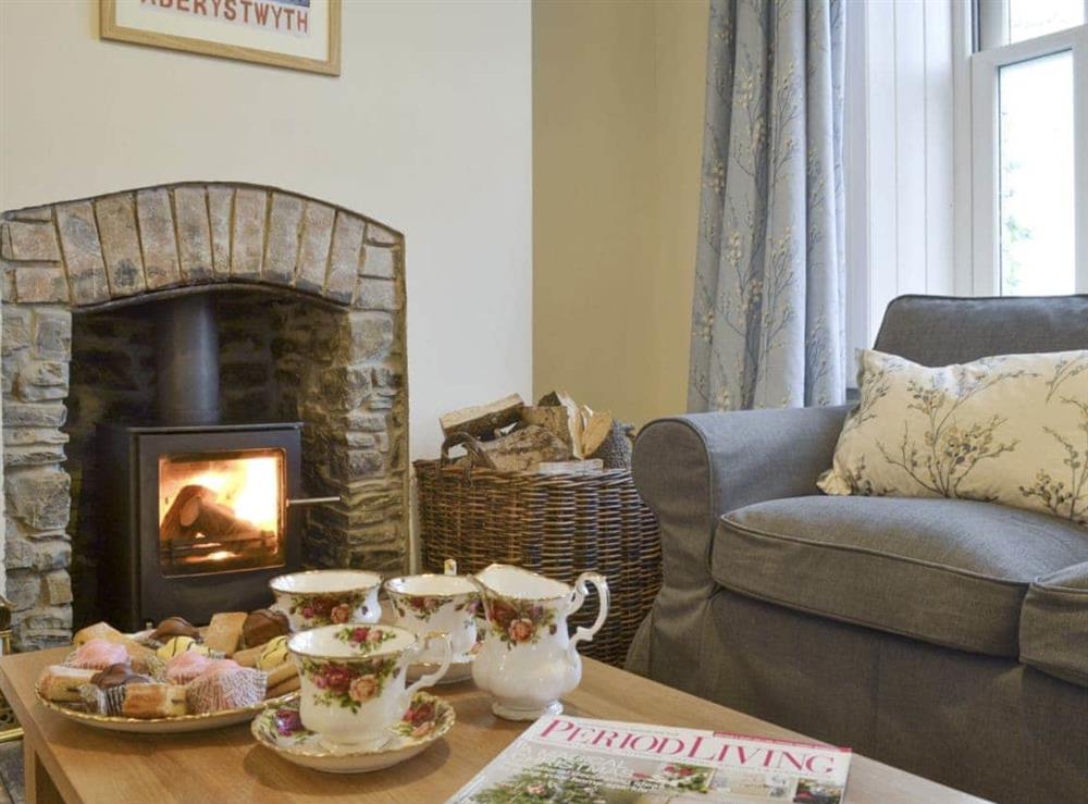 Warm and welcoming living room at Tyllwyd Farmhouse in Capel Bangor, near Aberystwyth, Dyfed