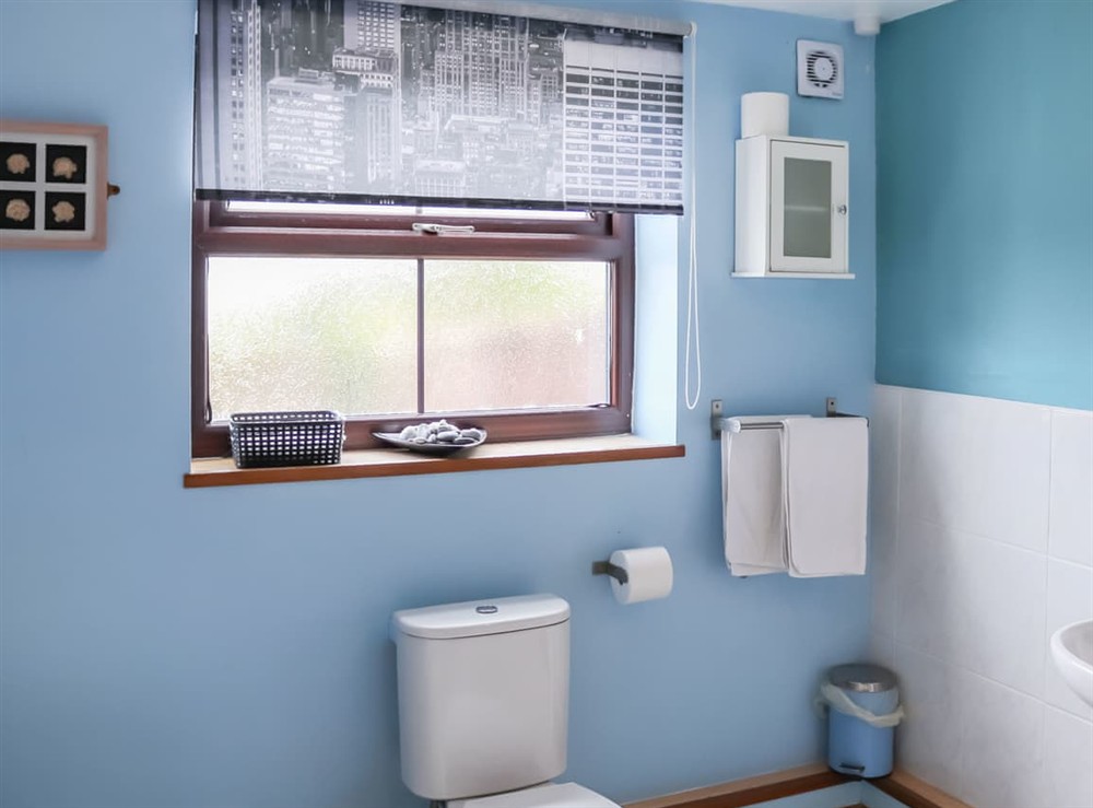 Bathroom (photo 3) at Tyn Cae Cottage in Rhostrehwfa Nr Llangefni, Gwynedd