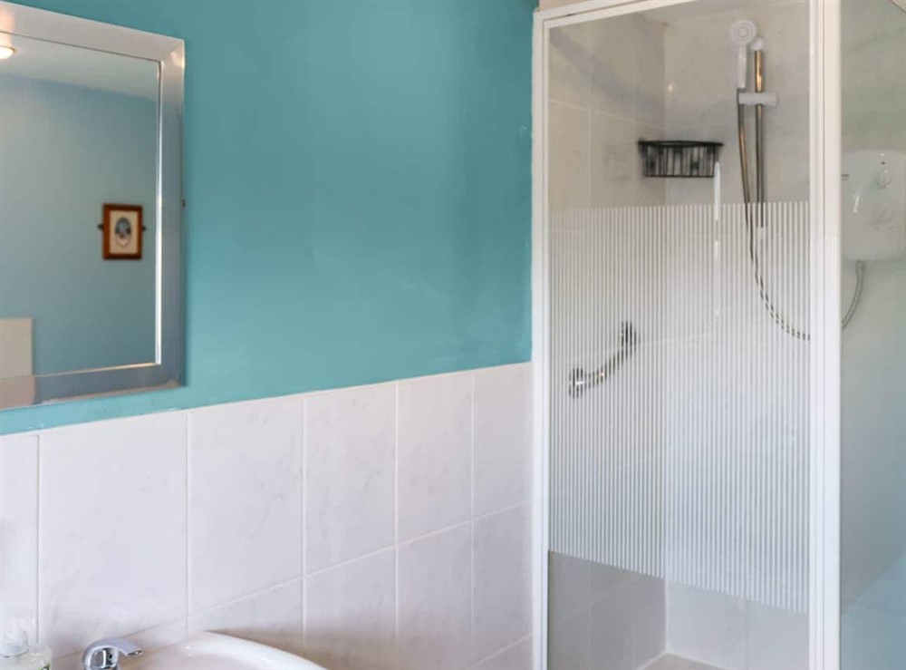 Bathroom at Tyn Cae Cottage in Rhostrehwfa Nr Llangefni, Gwynedd