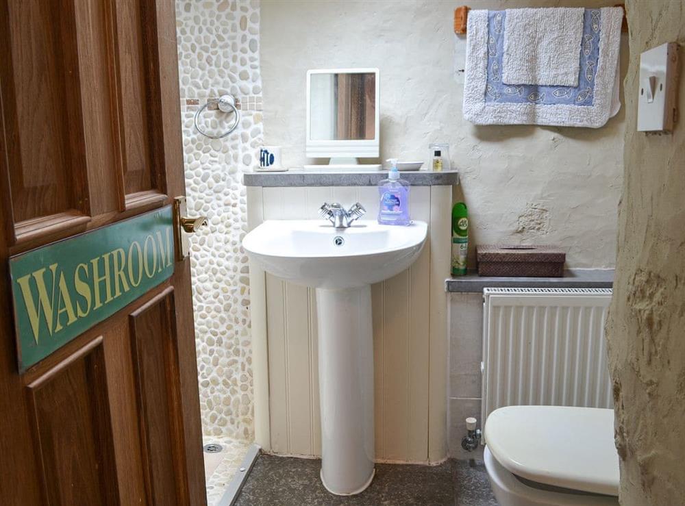 Shower room at Tyn Lon in Moelfre, near Bangor, Anglesey, Gwynedd