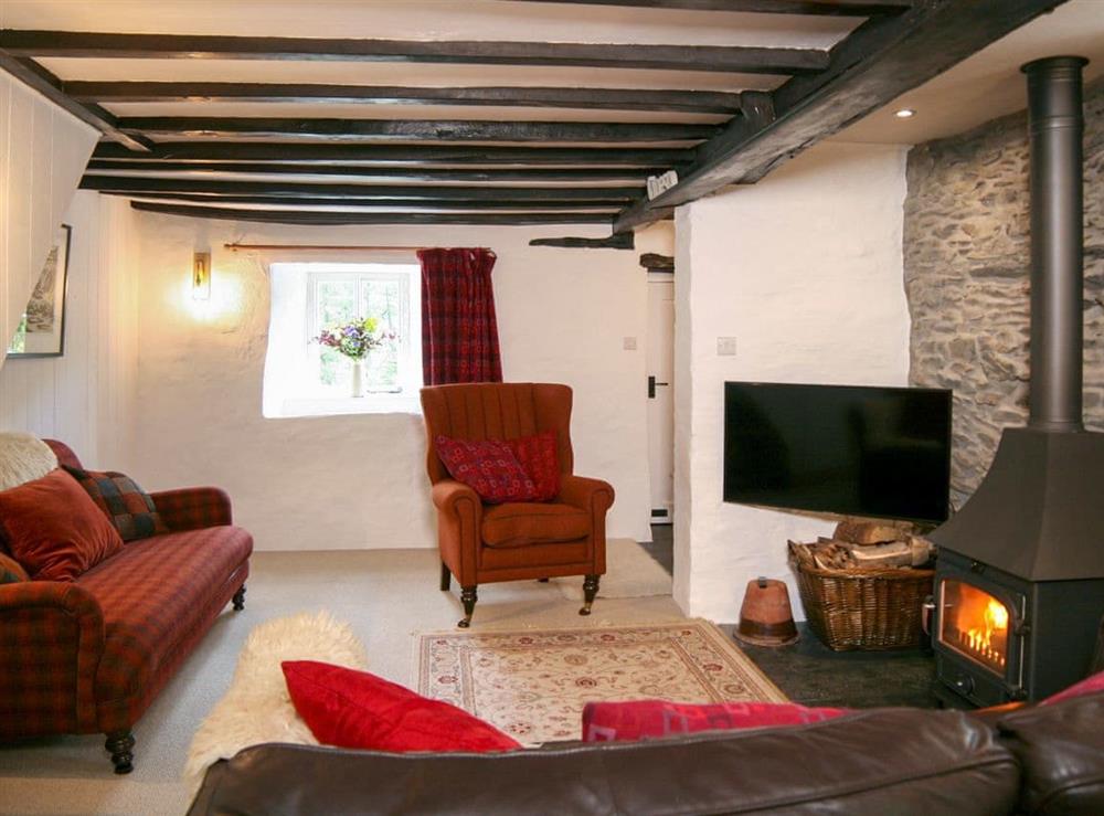 Living area with wood burner (photo 2) at Tyn Y Ffordd in Machynlleth, Gwynedd