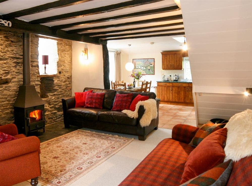 Living area with wood burner at Tyn Y Ffordd in Machynlleth, Gwynedd