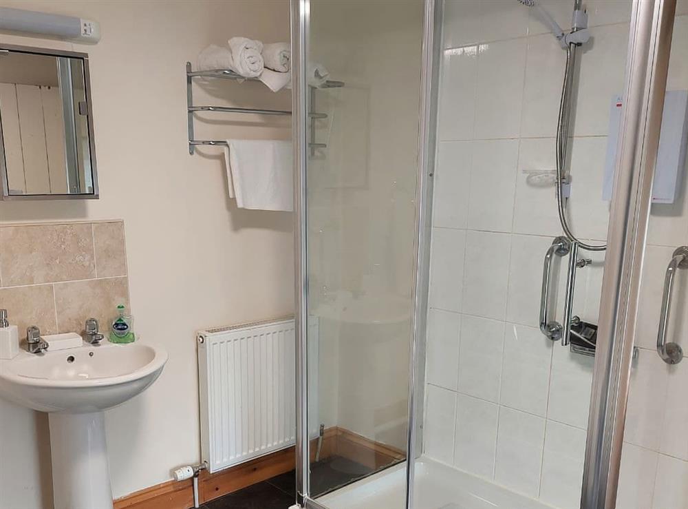 Shower room at Typicca Farmhouse in Brechfa, Dyfed