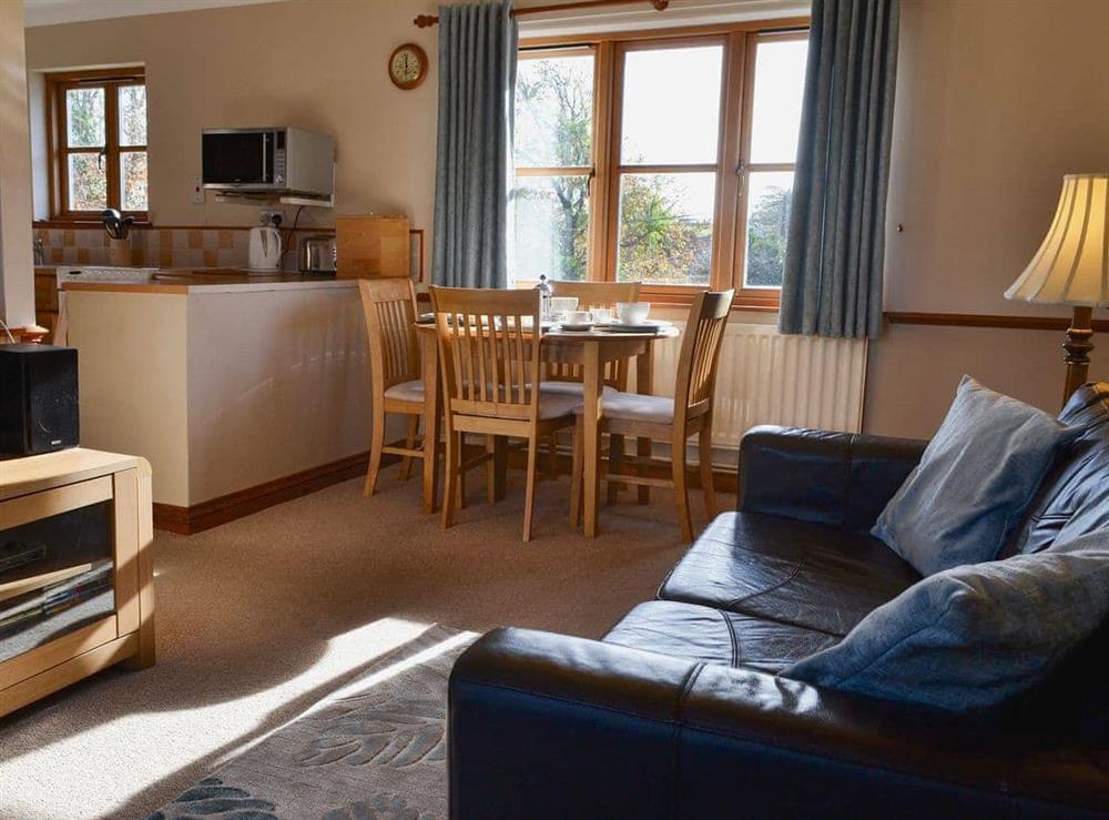 Open plan living space at Tyrella in Shebbear, near Beaworthy, Devon