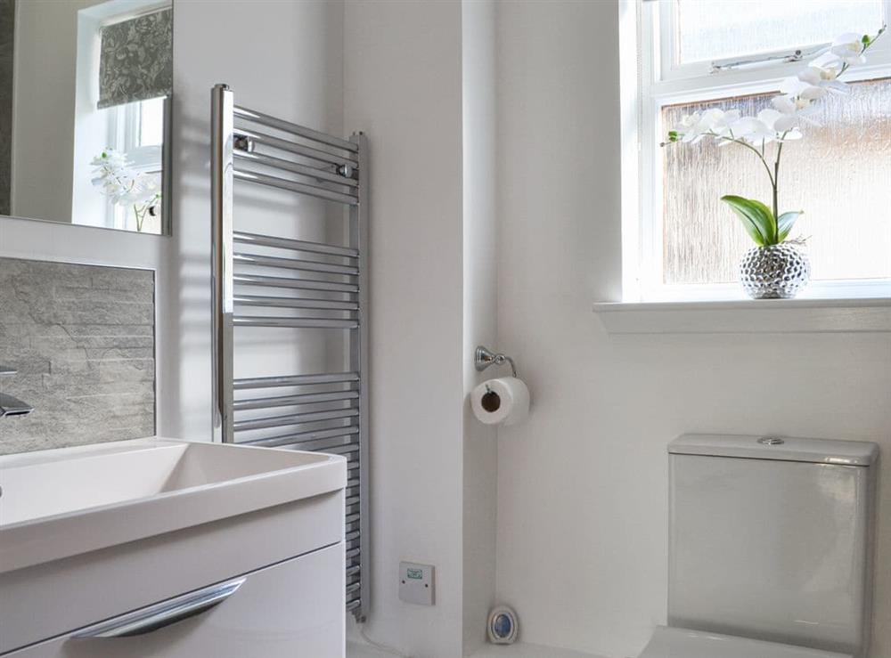 Shower room at Uaine Cottage in Aviemore, Inverness-Shire