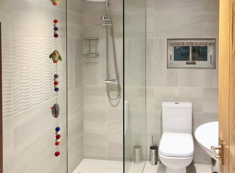 Shower room at Umber House in Harbourneford, near Buckfastleigh, Devon