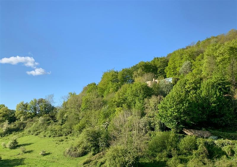 The area around Under Catswood at Under Catswood, Elcombe near Stroud